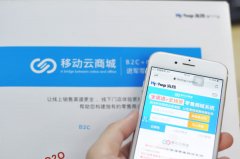 o2o電商平臺(tái)存在的潛在效益?為什么大家都在做?