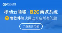 B2C模式商品的特點