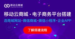 B2C零售商城系統(tǒng)應該對哪些方面進行分析